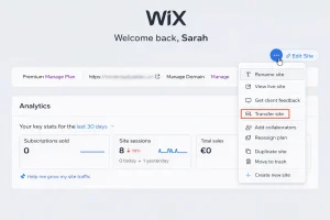 DomAIn Expiration: What Occurs When A Site Expires DomAIn Expiration: What Occurs When A Site Expires